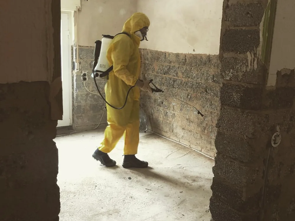 Mitarbeiter von SüdWest Sanierung bei der Arbeit an einer Innenwand